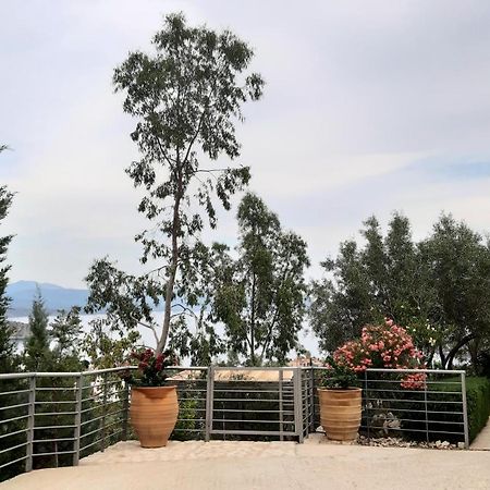 Stone House In Olive Grove Villa Tolón Eksteriør billede