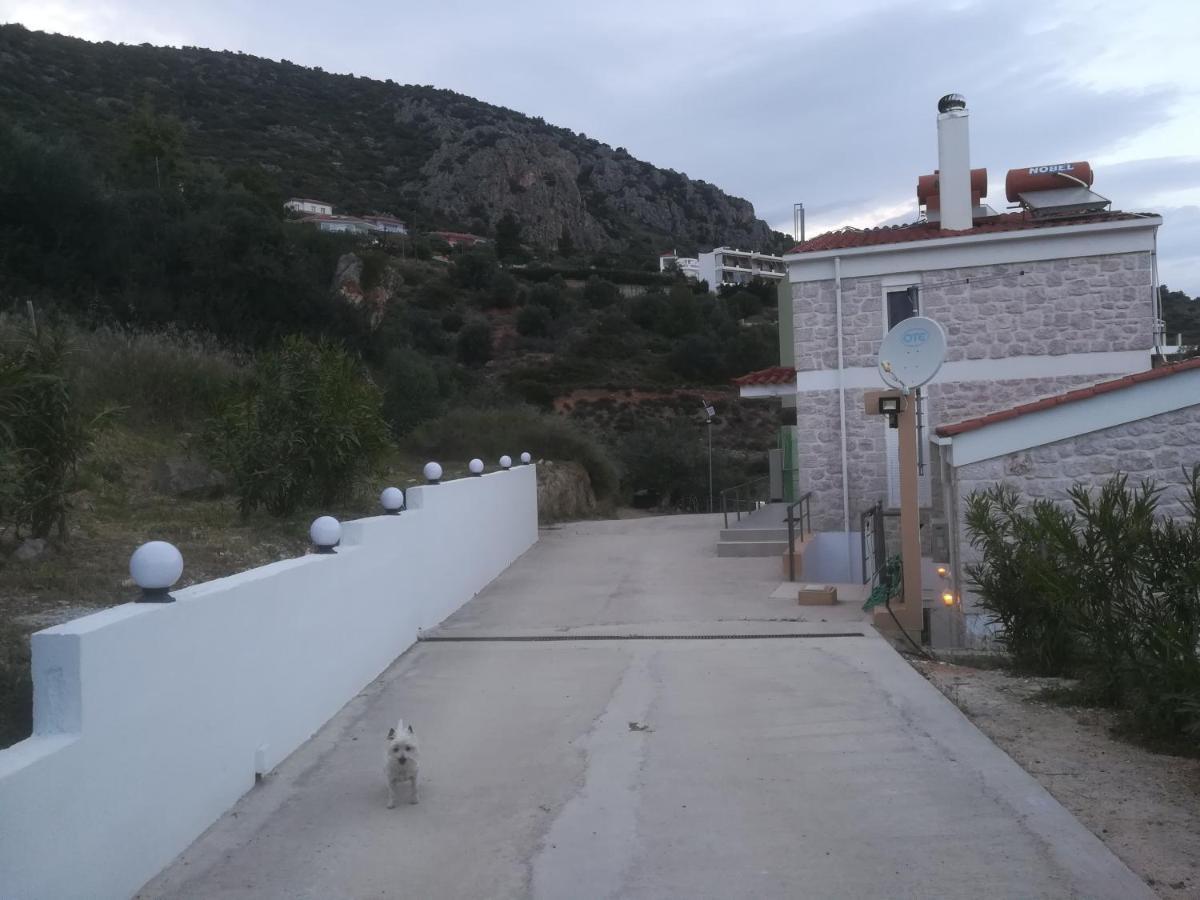 Stone House In Olive Grove Villa Tolón Eksteriør billede