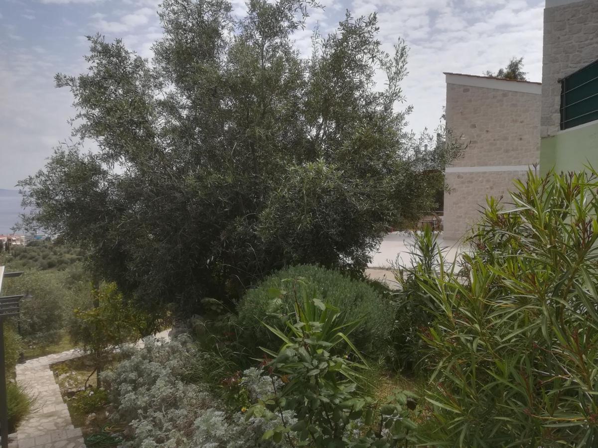 Stone House In Olive Grove Villa Tolón Eksteriør billede