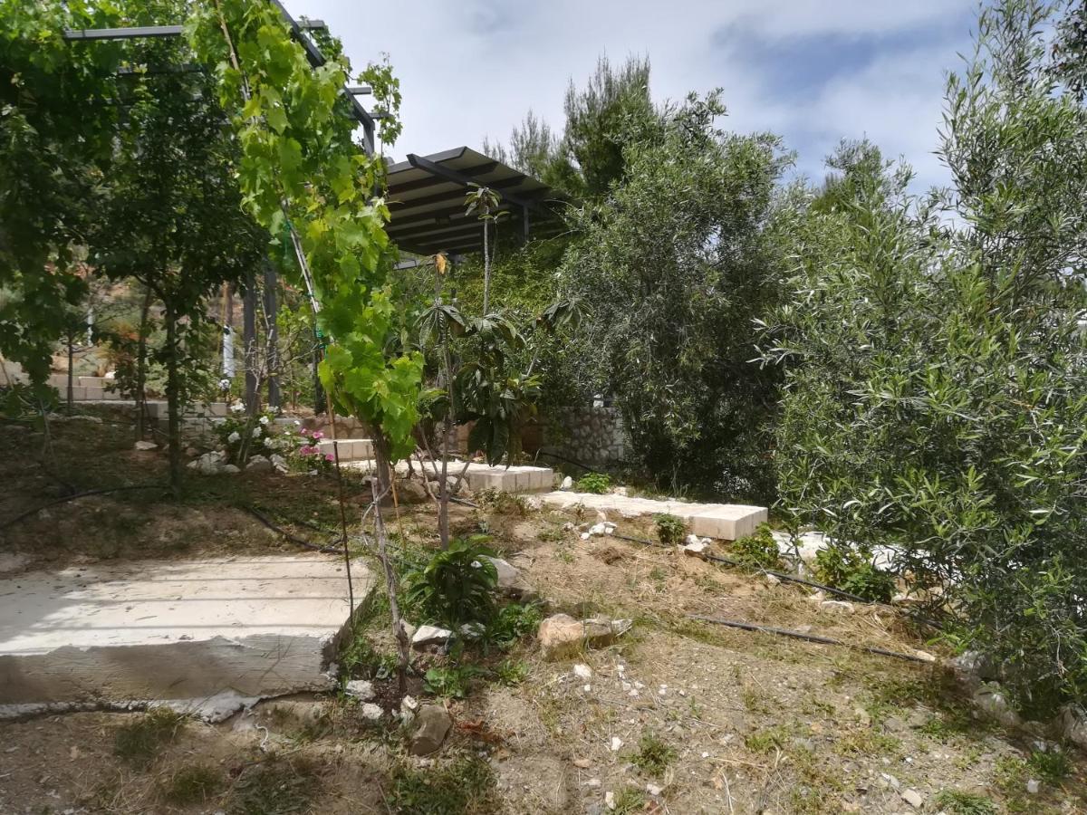 Stone House In Olive Grove Villa Tolón Eksteriør billede