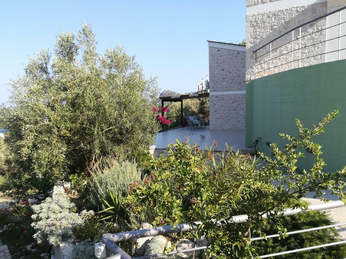 Stone House In Olive Grove Villa Tolón Eksteriør billede