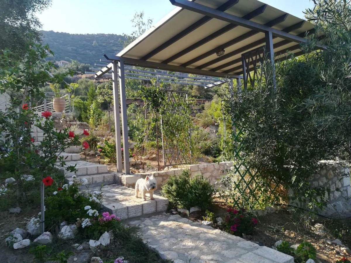 Stone House In Olive Grove Villa Tolón Eksteriør billede