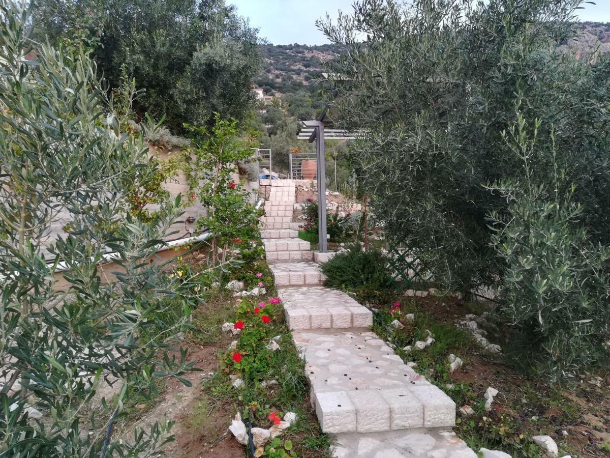 Stone House In Olive Grove Villa Tolón Eksteriør billede